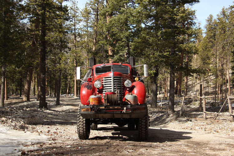 Timber Rats Oregon Timber Rat – WelderUp