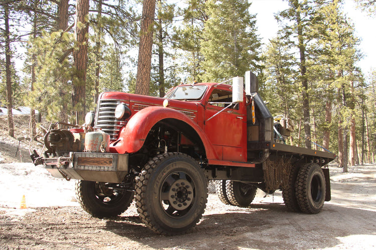 Timber Rats Oregon Timber Rat – WelderUp